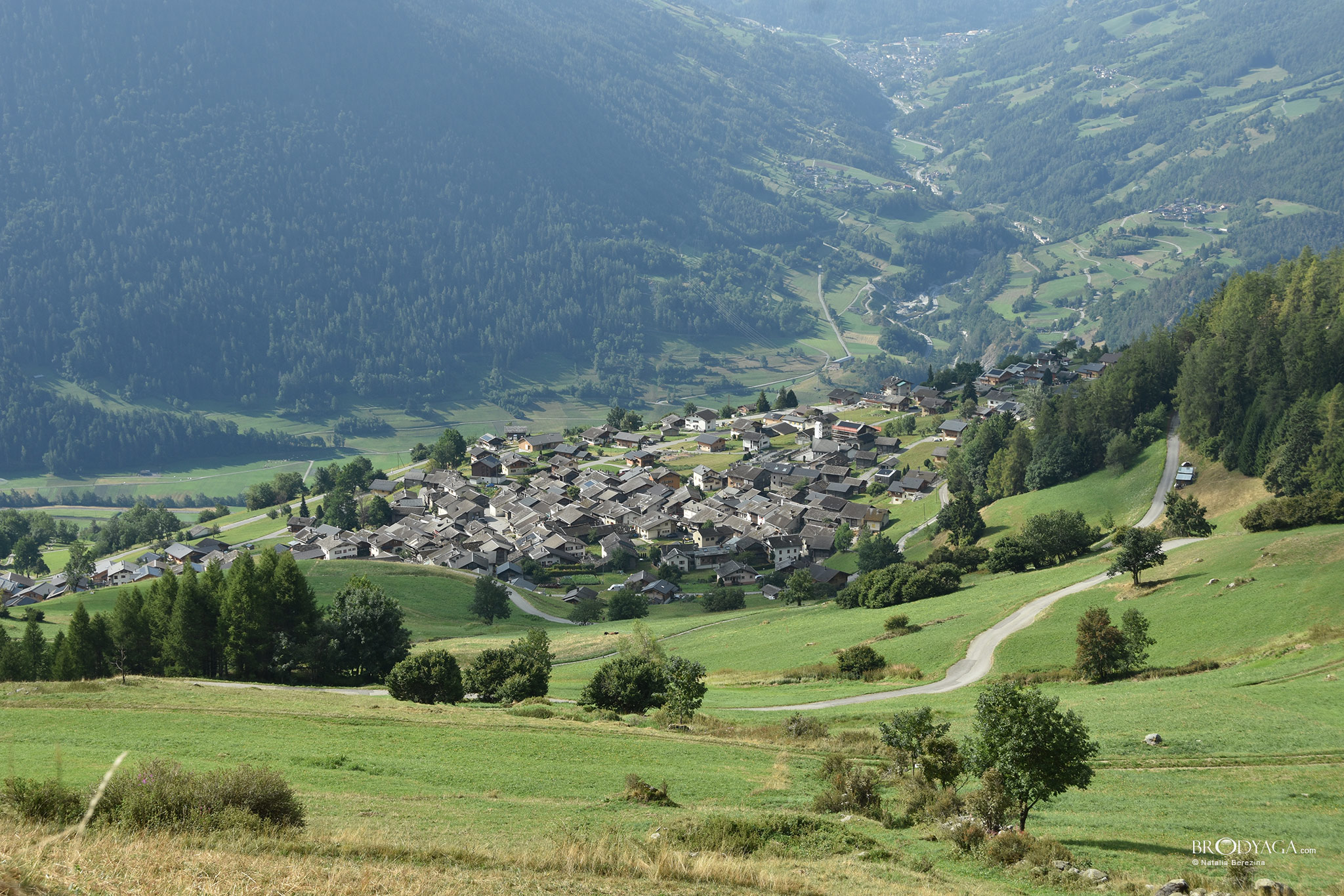 Levron